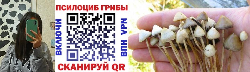 Галлюциногенные грибы GOLDEN TEACHER  ОМГ ОМГ рабочий сайт  shop клад  Феодосия 